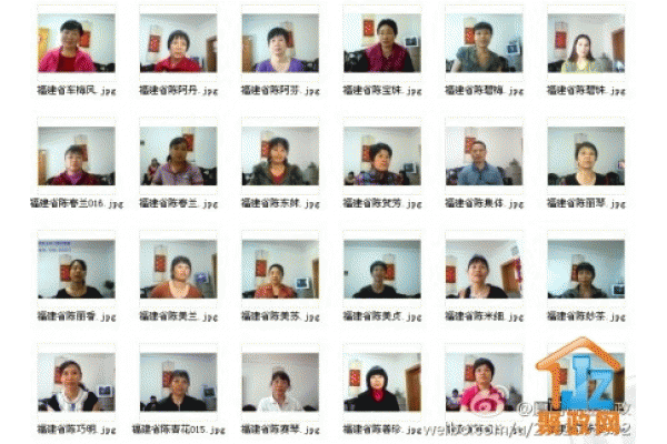 �����ú������˾