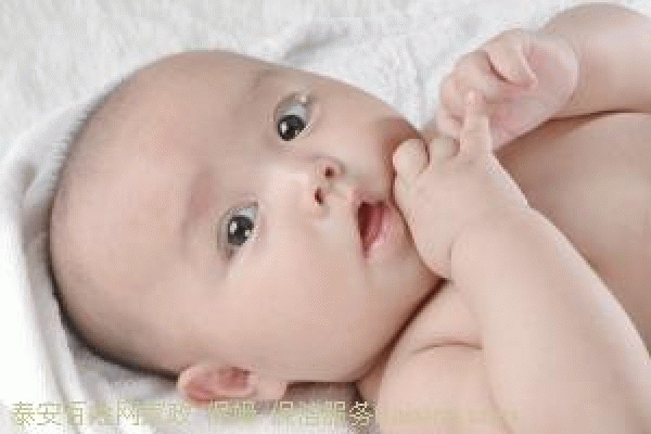 �ൺ�и��˰��㽡����Ϣ������