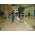 20121008204537192.jpg