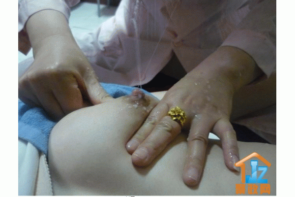 �������ļ�������˾