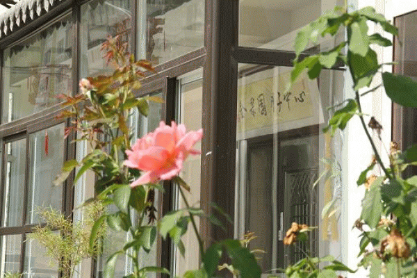 ��̨���԰��������