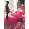 ̫ԭ��ӭ������Ҷ��ͥ����