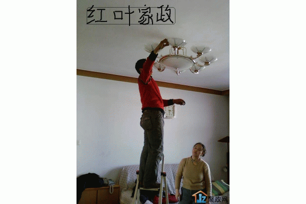 ̫ԭ��ӭ������Ҷ��ͥ����