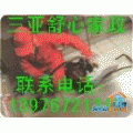 ǹܵͨ