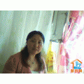 �Ͼ��й�¥�����Ǽ�����������