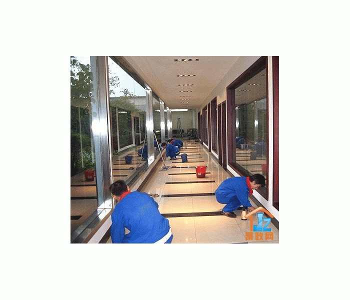 ׿���������