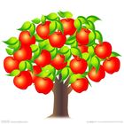 ���������ݼҼ�ͥ�������޹�˾