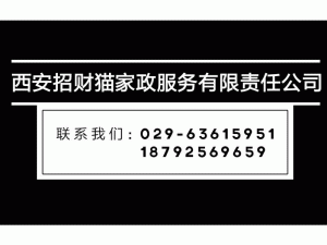 �����в�è�����������޹�˾