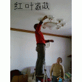 ̫ԭ��ӭ������Ҷ��ͥ����