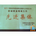 �ɶ�����������ְҵ�н���ѯ������