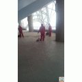 �������ʽ�ٰ����