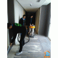 ݸƼ޹˾